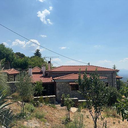 Terra Petra Villa At Psari Trikolonon Gortynia Psárion Exteriér fotografie