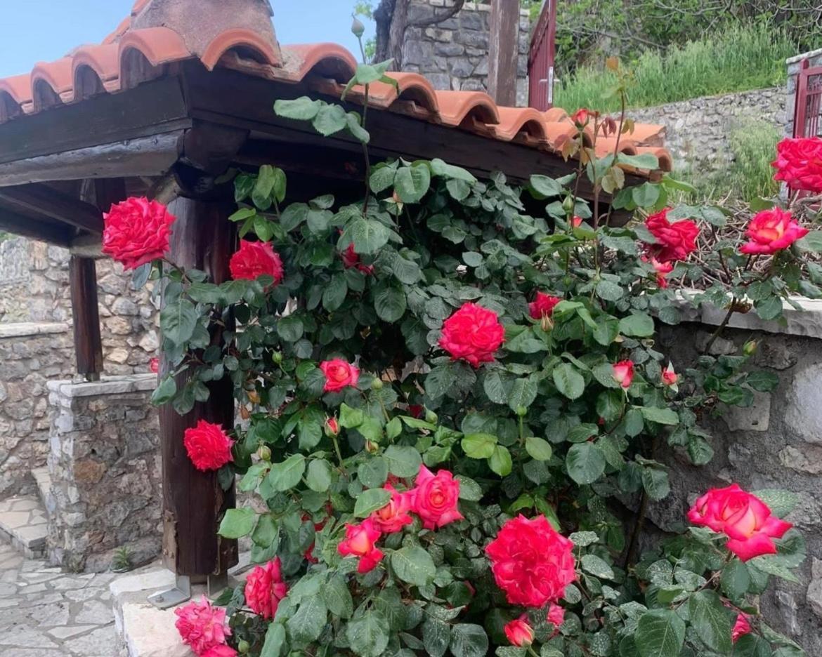 Terra Petra Villa At Psari Trikolonon Gortynia Psárion Exteriér fotografie