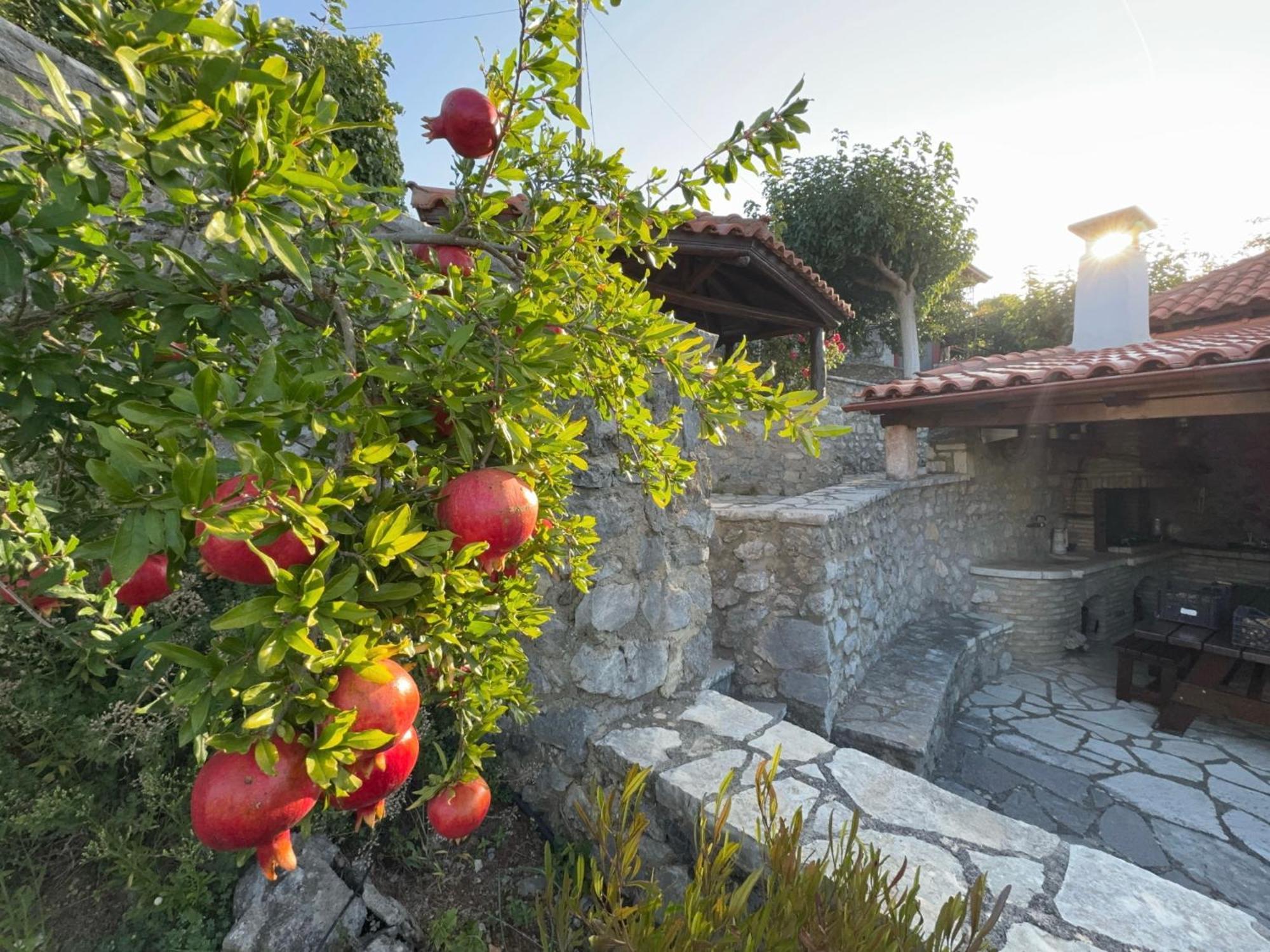 Terra Petra Villa At Psari Trikolonon Gortynia Psárion Exteriér fotografie